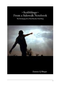 _Scribblings_ From a Sidewalk Notebook - V3 - with cover cover